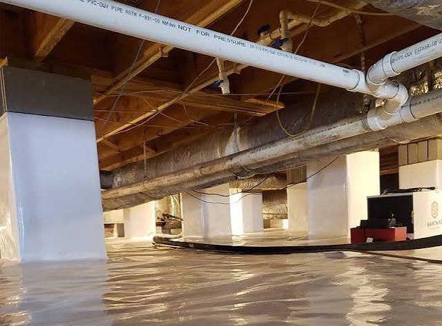 Crawl Space Repair Services & Costs — The Complete Guide