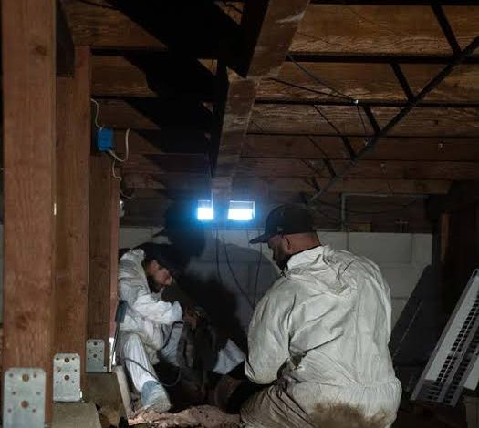 Crawl Space Repair Symptoms & Diagnosis: The Complete Guide