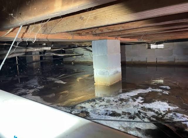 How to Inspect a Crawl Space for Damage Safely