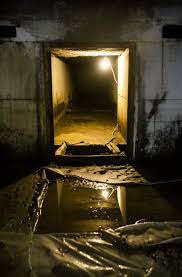 Why Is My Crawl Space Musty? Common Causes and Fixes