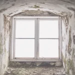 Damp basement or crawl space with stained walls and a small window