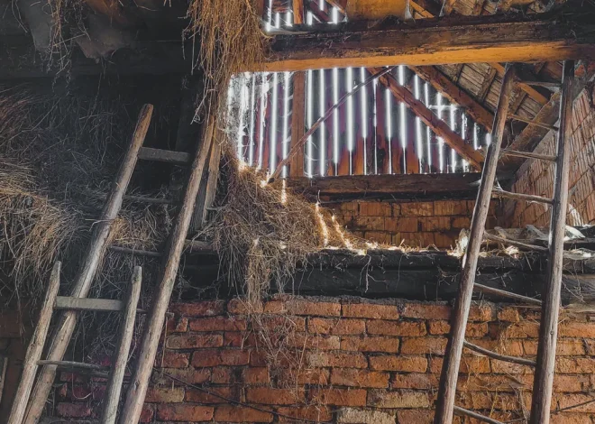 When Is Crawl Space Water an Emergency?