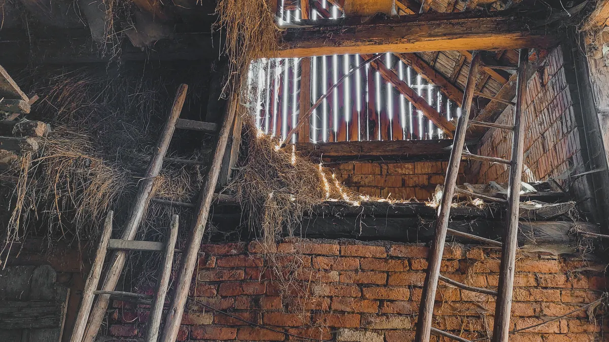 When Is Crawl Space Water an Emergency?